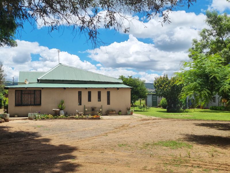 Rear view of a single-story house featuring a corrugated metal roof, plastered walls, and a spacious garden area with mature trees.