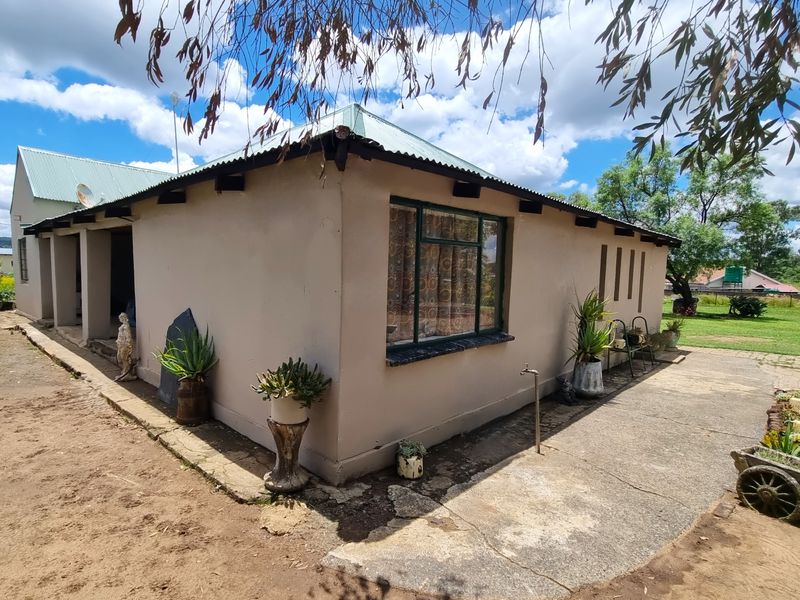 Rear view of the house featuring a corrugated metal roof, concrete patio area, and established garden surroundings.