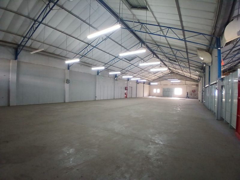 Spacious industrial warehouse featuring high exposed steel truss ceilings, polished concrete flooring, and ample overhead fluorescent lighting.