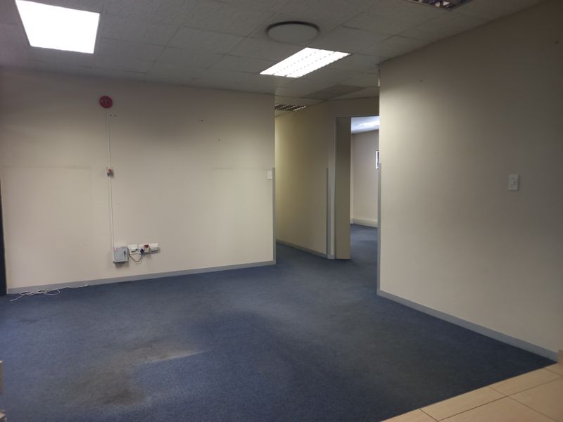 An empty, open-plan office space featuring a suspended ceiling, recessed lighting, and blue carpeting, offering a blank canvas for professional workspace configuration.