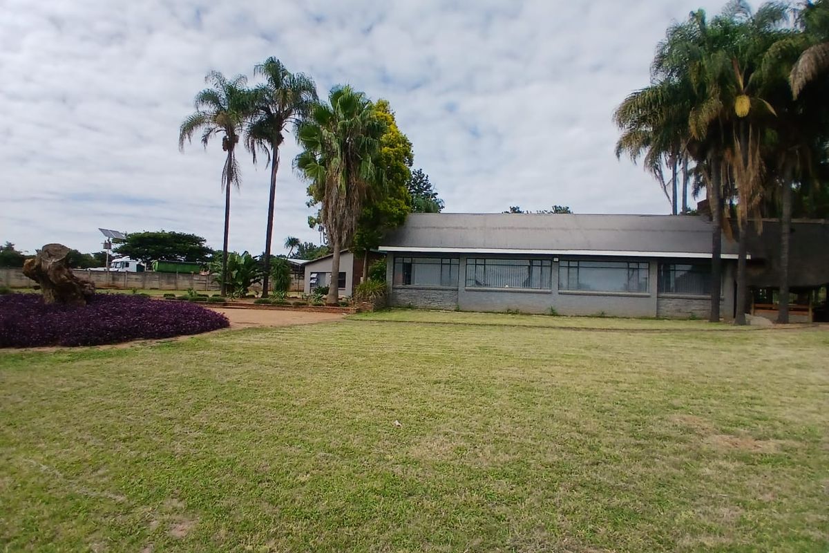 A spacious rear garden view featuring a well-maintained lawn, mature palm trees, and the rear elevation of the main building with large windows.