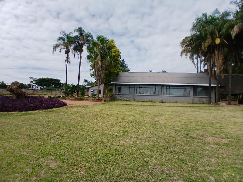 A spacious rear garden view featuring a well-maintained lawn, mature palm trees, and the rear elevation of the main building with large windows.