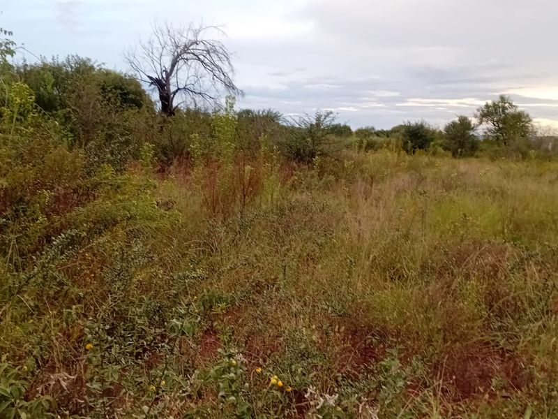 A view of the undeveloped residential land featuring natural vegetation and open space.