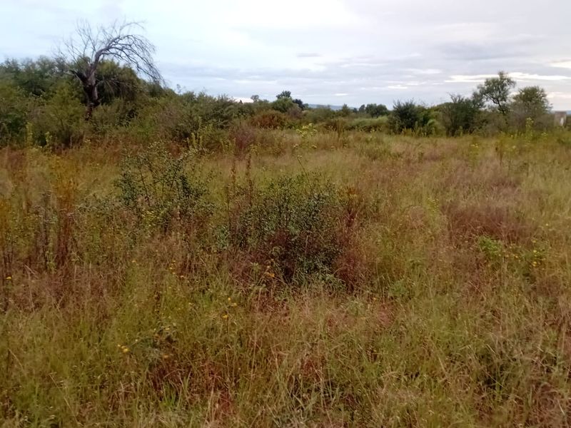 A view of a vacant residential plot featuring natural vegetation and open land, suitable for future development.