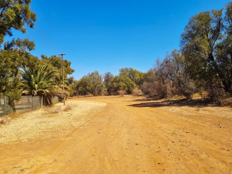 A view of a dirt road leading through a residential area with mature trees, a utility pole, and a metal fence boundary.