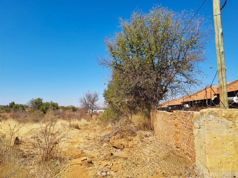 A view of a vacant residential plot featuring a brick boundary wall with barbed wire and mature trees under a clear blue sky.