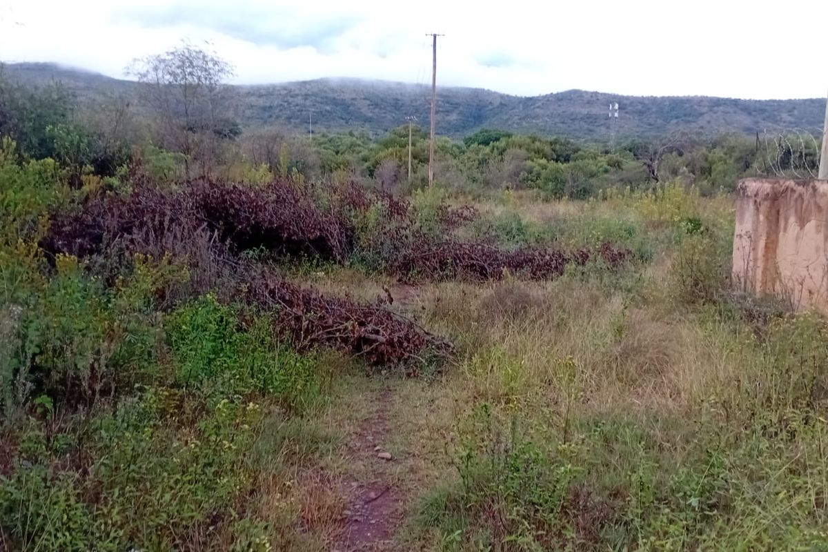 A view of a vacant residential plot featuring overgrown vegetation, a perimeter wall with razor wire, and distant mountain views.