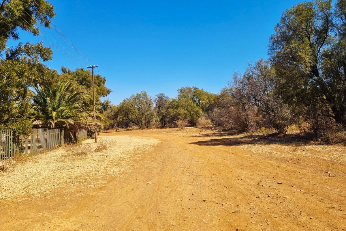 A view of a dirt road leading through a residential area with mature trees, a utility pole, and a metal fence boundary.