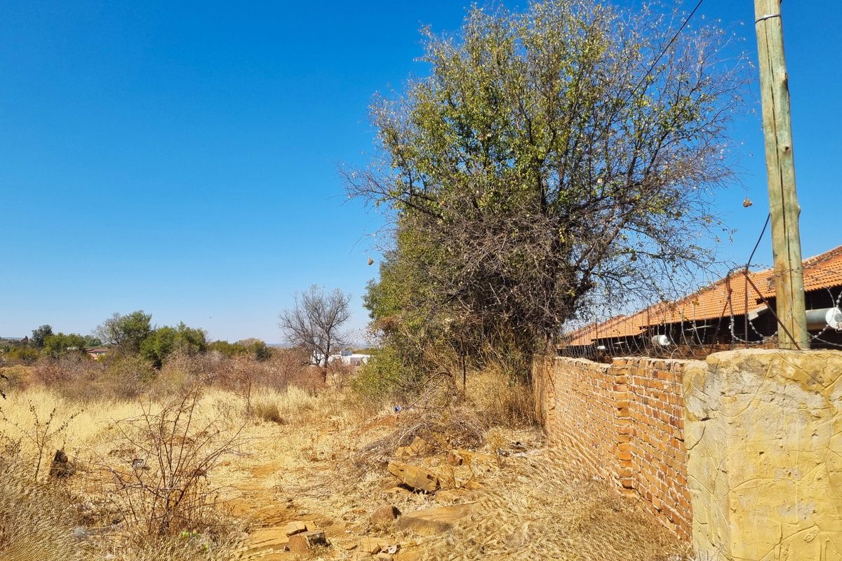 A view of a vacant residential plot featuring a brick boundary wall with barbed wire and mature trees under a clear blue sky.