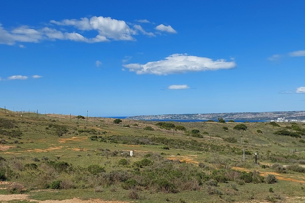 Tucked-Away Prime Stand in Outeniquasbosch Wildlife Village - Photo 3