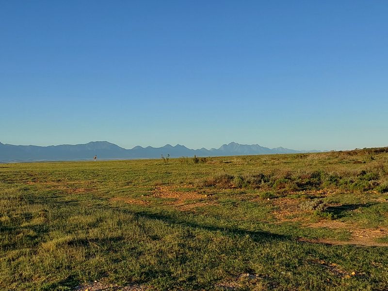 Tucked-Away Prime Stand in Outeniquasbosch Wildlife Village - Photo 10