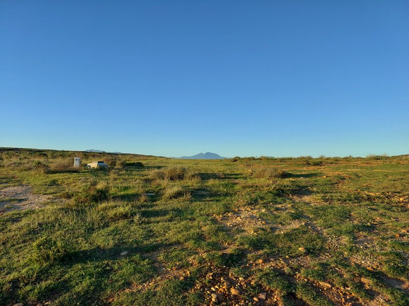 Tucked-Away Prime Stand in Outeniquasbosch Wildlife Village - Photo 8