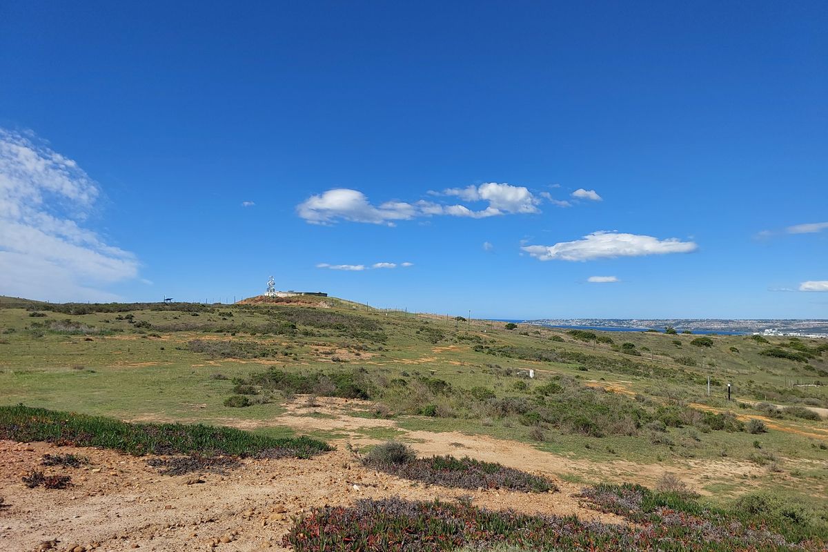 Tucked-Away Prime Stand in Outeniquasbosch Wildlife Village - Photo 4