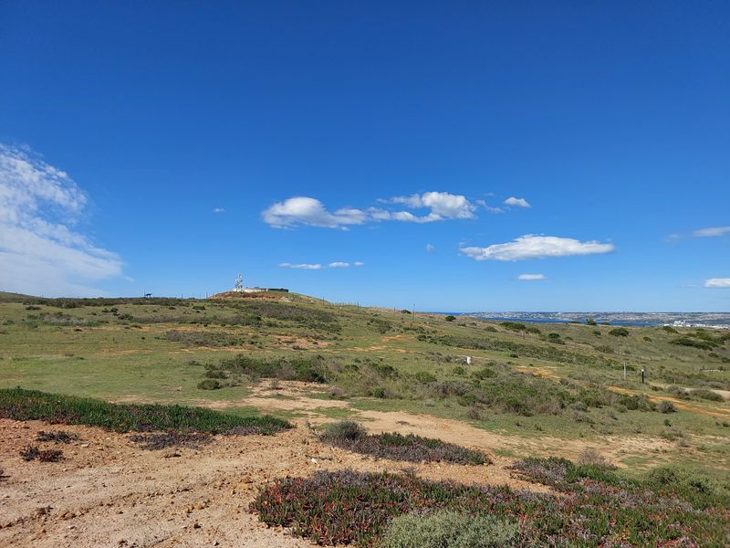 Tucked-Away Prime Stand in Outeniquasbosch Wildlife Village - Photo 4