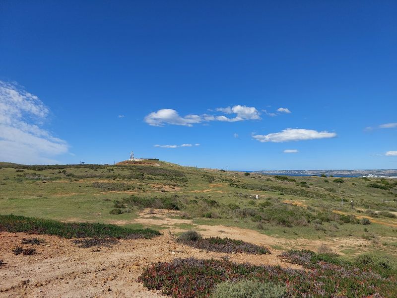 Tucked-Away Prime Stand in Outeniquasbosch Wildlife Village - Photo 6