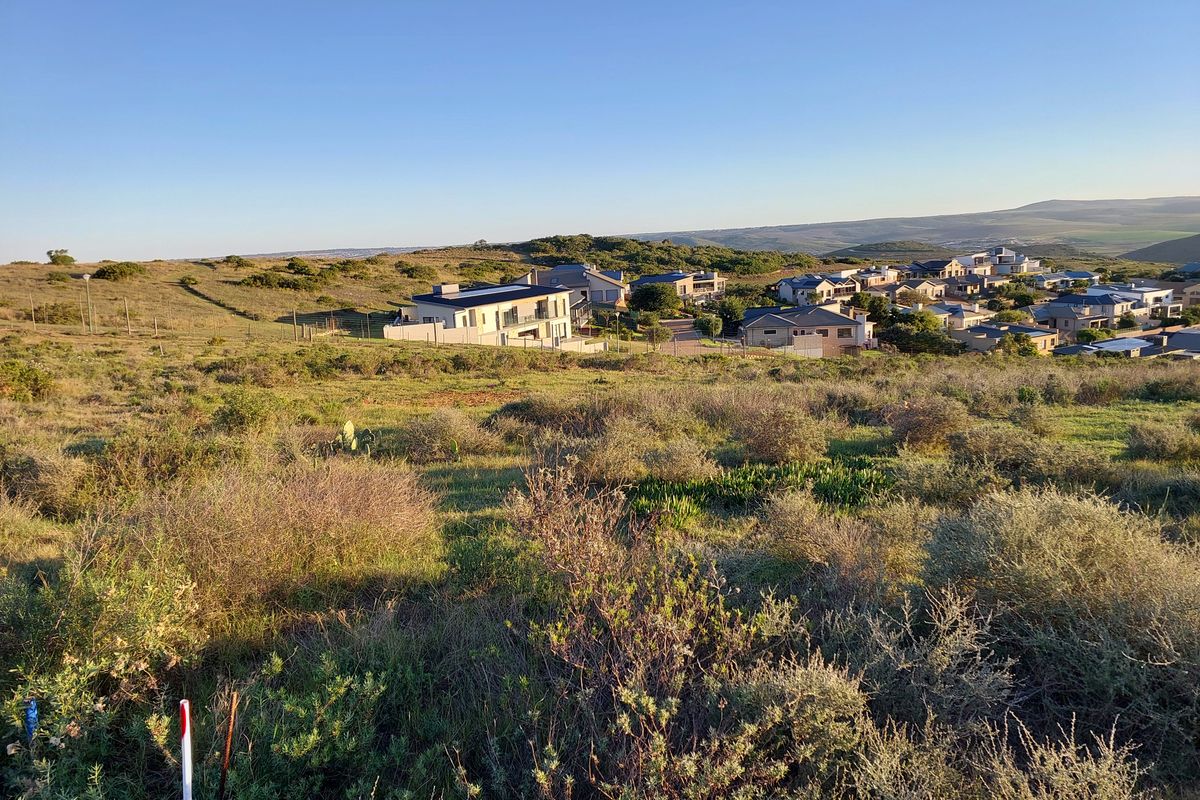 Tucked-Away Prime Stand in Outeniquasbosch Wildlife Village - Photo 5