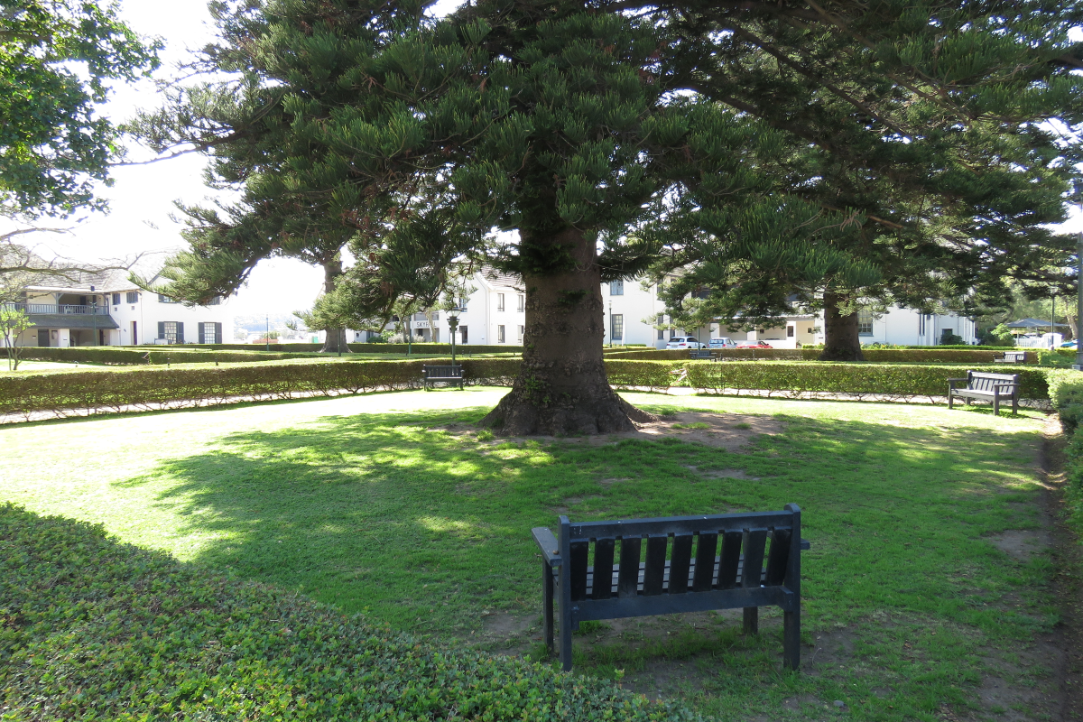 Your Next Office Address: Paardevlei - Photo 4