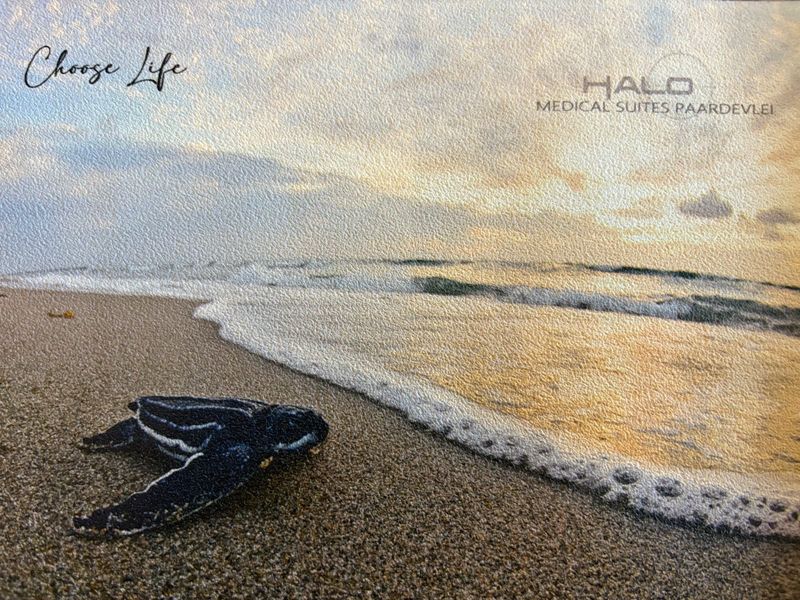 Position Your Practice for Growth and Prestige – New Medical Suites in the Heart of Paardevlei - Photo 10