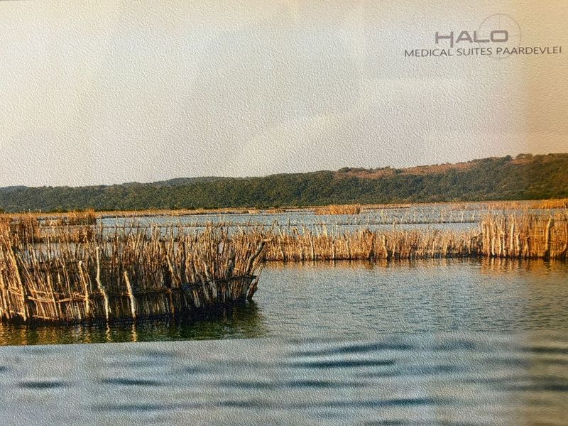 Position Your Practice for Growth and Prestige – New Medical Suites in the Heart of Paardevlei - Photo 9