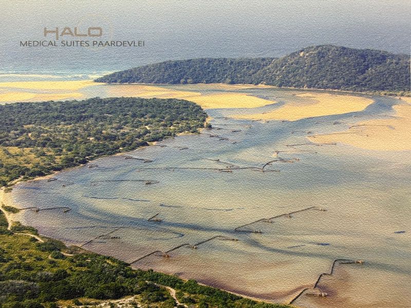 Where Innovation Meets Care – State-of-the-Art Medical Suites Across from Busamed - Photo 9