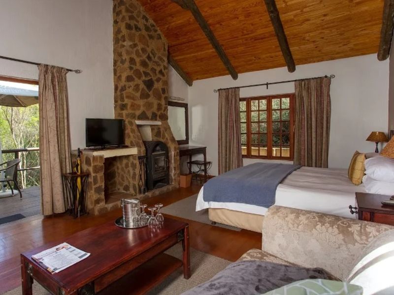 Your Turnkey Hospitality Investment in the Magaliesberg Biosphere - Photo 9