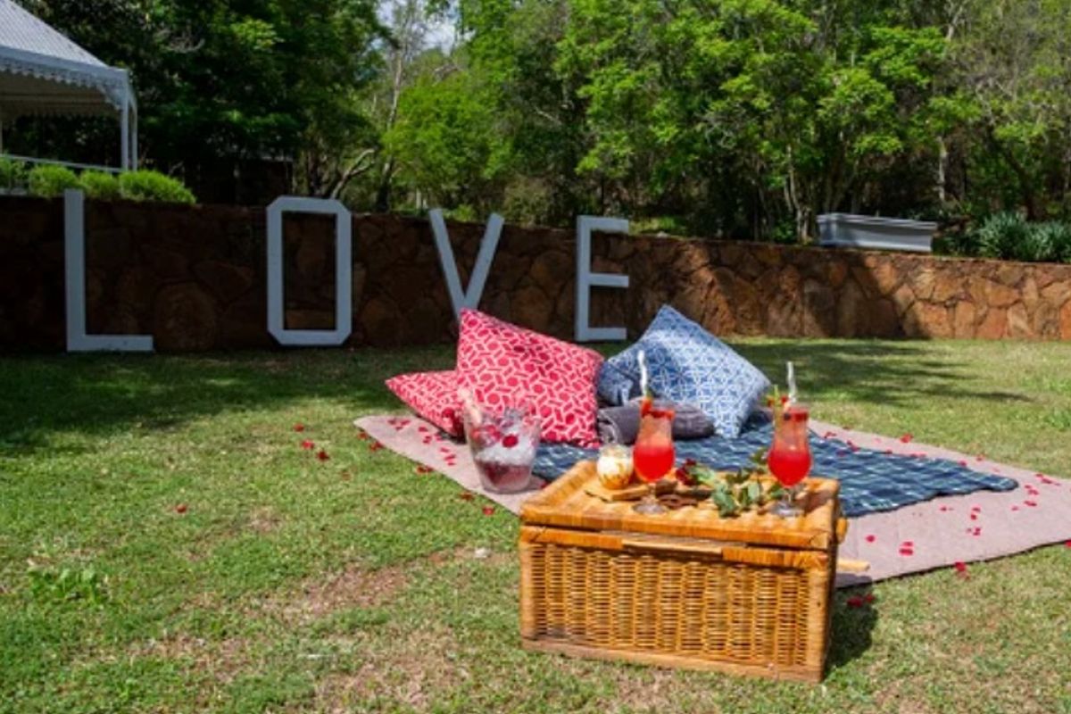 Your Turnkey Hospitality Investment in the Magaliesberg Biosphere - Photo 3