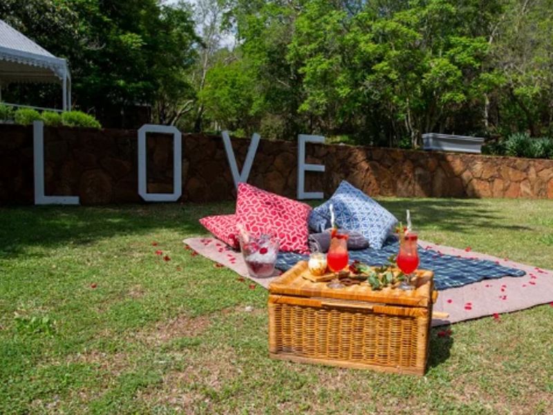 Your Turnkey Hospitality Investment in the Magaliesberg Biosphere - Photo 3