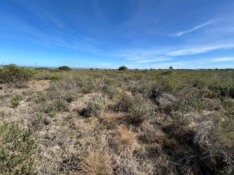 LOVELY LEVEL LARGE 3924 m2 COMMERCIAL STAND FOR SALE - Photo 8