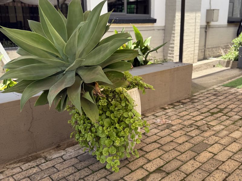 Office Rental Monthly In Witbank - Photo 4