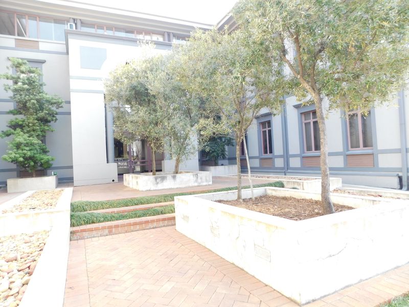 Modern Move In Ready Workspace Available Now / To Suit. - Photo 3