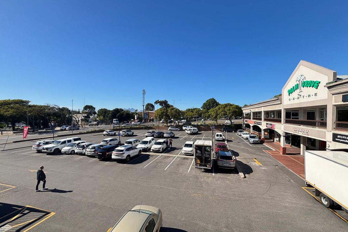 Elevated view of the Palm Grove Centre retail property, featuring a large asphalt parking area and the main building facade with signage.