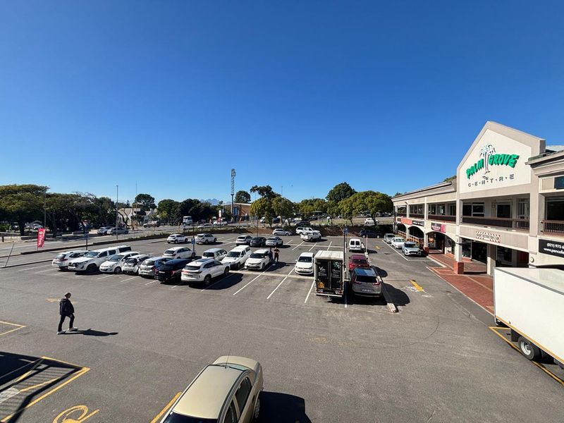 Elevated view of the Palm Grove Centre retail property, featuring a large asphalt parking area and the main building facade with signage.