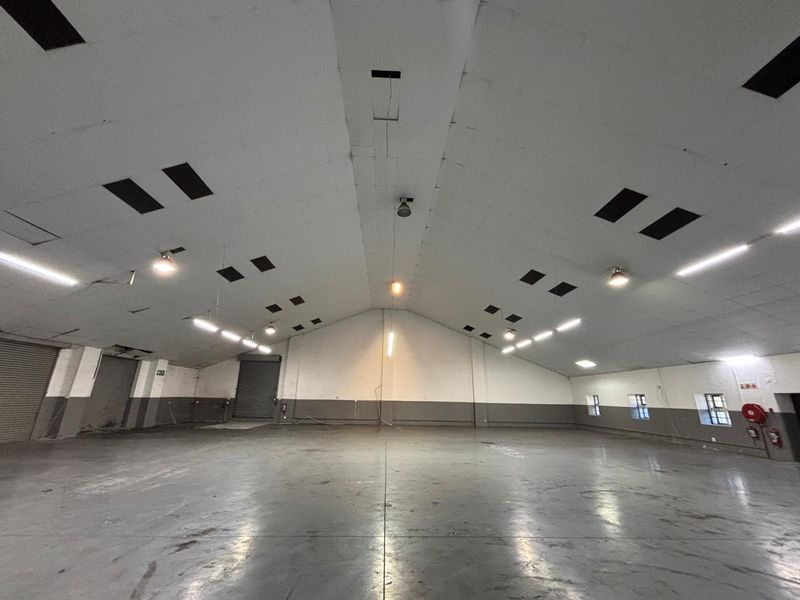 1054m2 Premium Warehouse To Let in The Studios, Atlas Gardens - Photo 5
