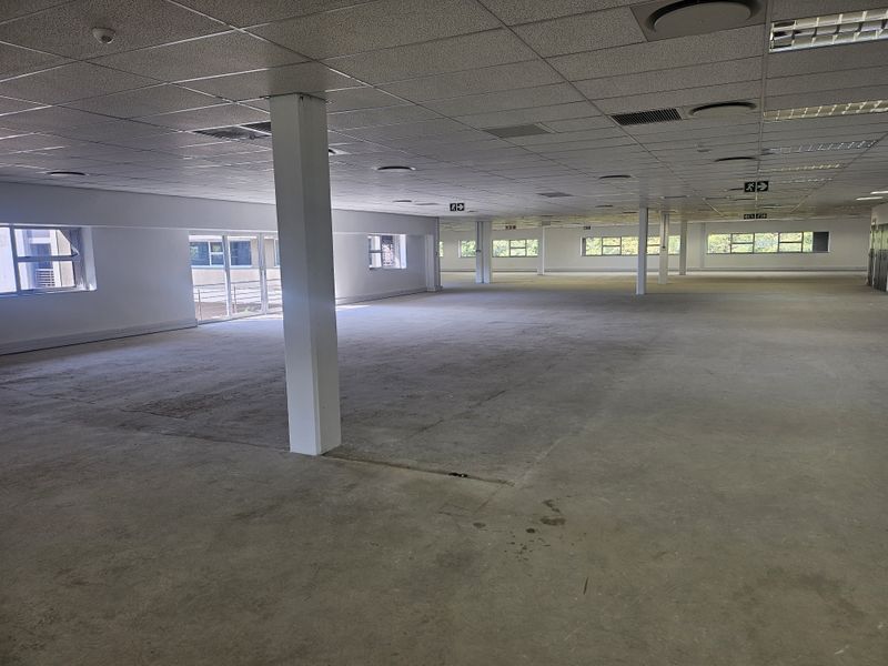 Full Title Premium Modern Free-standing 7, 296m2 Office Building for Sale or to Rent in Longmeadow - Photo 8