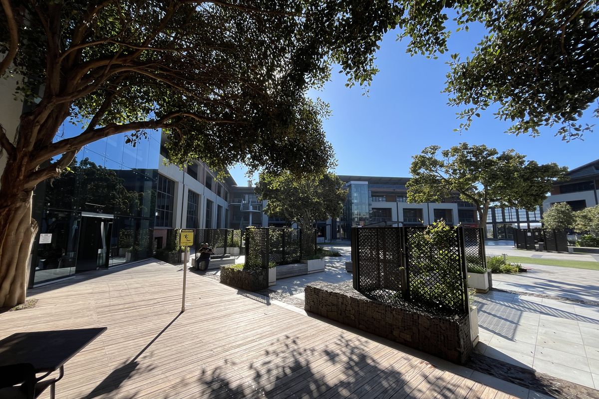 A well-maintained office courtyard featuring timber decking, stone gabion planters, and modern glass facade architecture under a clear blue sky.