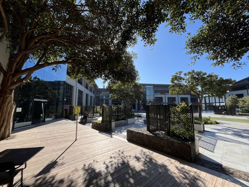 A well-maintained office courtyard featuring timber decking, stone gabion planters, and modern glass facade architecture under a clear blue sky.