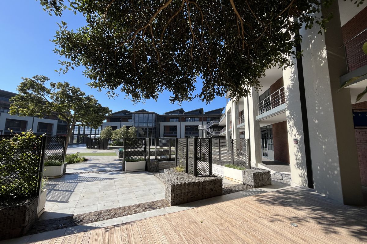 A well-maintained office courtyard featuring timber decking, paved walkways, modern gabion planters, and metal privacy screens under mature trees.