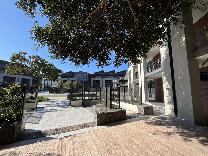 A well-maintained office courtyard featuring timber decking, paved walkways, modern gabion planters, and metal privacy screens under mature trees.