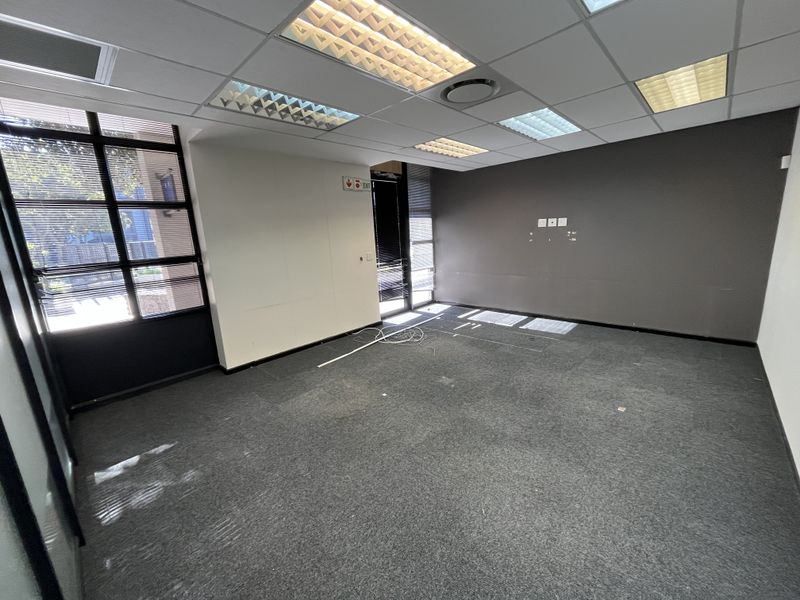An empty, open-plan office space featuring a suspended ceiling, recessed lighting, carpeted flooring, and large windows providing natural light.