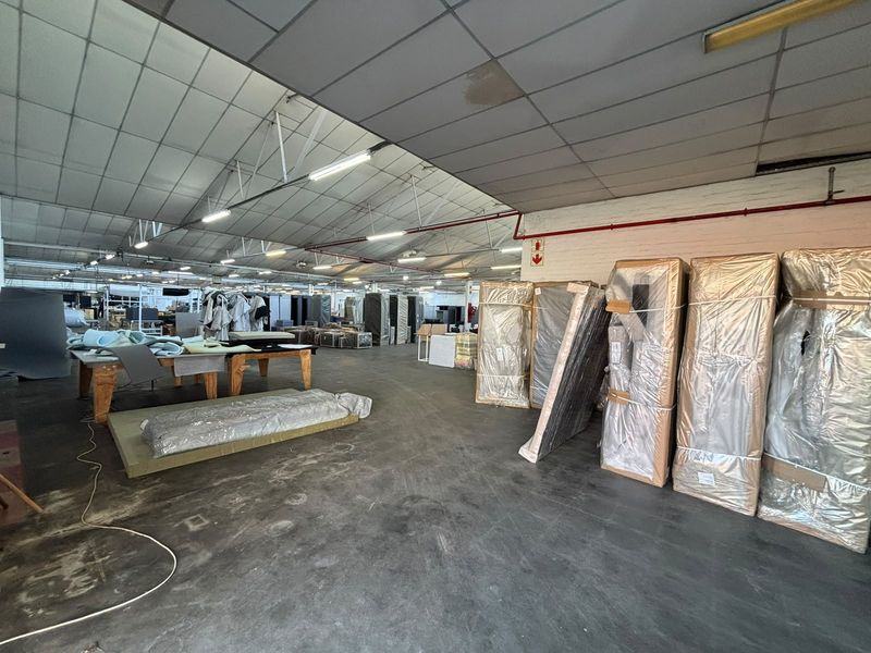Spacious industrial warehouse area featuring exposed steel roof trusses, suspended ceiling tiles, fluorescent lighting, and durable concrete flooring suitable for manufacturing or storage operations.