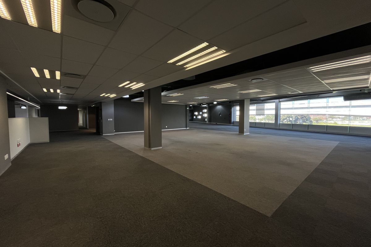 A spacious, open-plan office area featuring modern suspended ceilings, recessed lighting, carpeted flooring, and large windows providing ample natural light.
