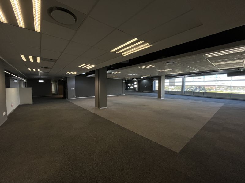 A spacious, open-plan office area featuring modern suspended ceilings, recessed lighting, carpeted flooring, and large windows providing ample natural light.