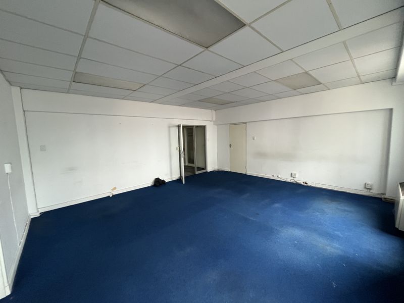 An empty office space featuring a suspended ceiling and blue carpet flooring, offering a blank canvas for professional customization.
