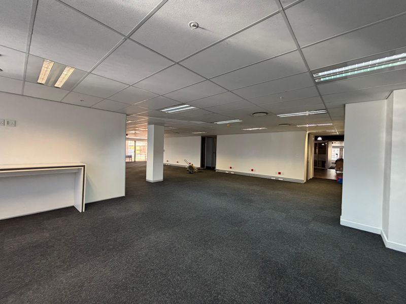 A spacious, open-plan office area featuring a suspended ceiling, recessed lighting, and neutral carpeting, providing a versatile workspace ready for configuration.