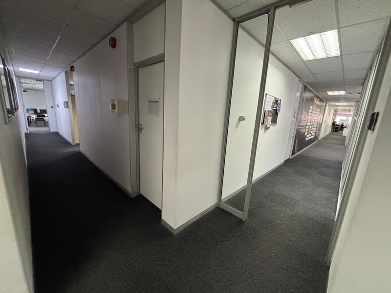 A functional office hallway featuring carpeted flooring, suspended ceilings with recessed lighting, and glass partition walls leading to various office spaces.
