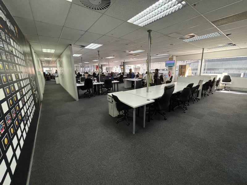 Spacious open-plan office area featuring suspended ceilings, recessed lighting, and carpeted flooring, providing a functional workspace environment.