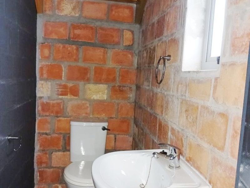 A compact bathroom featuring exposed brick walls, a standard toilet, and a wall-mounted washbasin with exposed plumbing.
