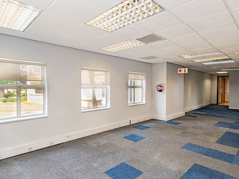A spacious, open-plan office area featuring suspended ceilings, recessed lighting, carpet tiles, and large windows with roller blinds.