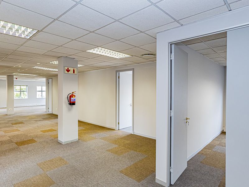 Spacious open-plan office area featuring suspended ceilings, recessed lighting, and durable carpet tiles, offering a clean and functional workspace environment.