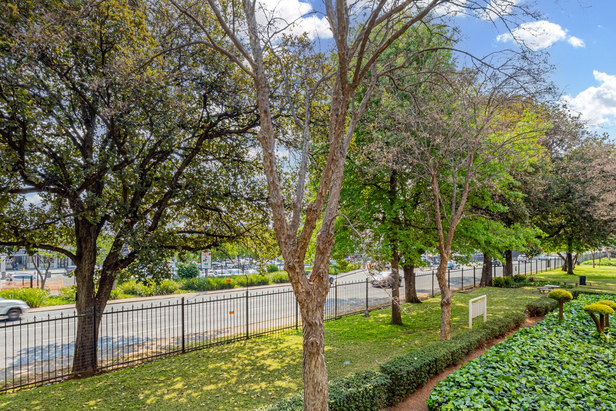 A view of the property's rear garden area featuring mature trees, manicured hedges, and secure perimeter fencing overlooking the street.